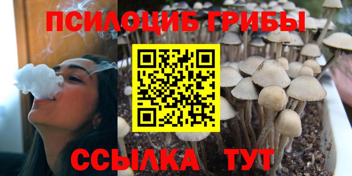Воркута  Галлюциногенные грибы GOLDEN TEACHER  Вход с VPN 